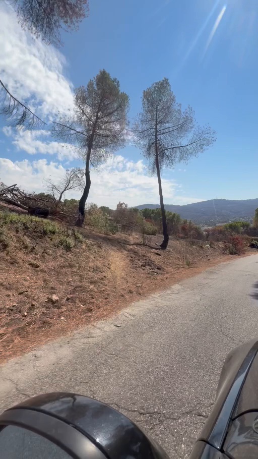 Monte del entorno del pantano